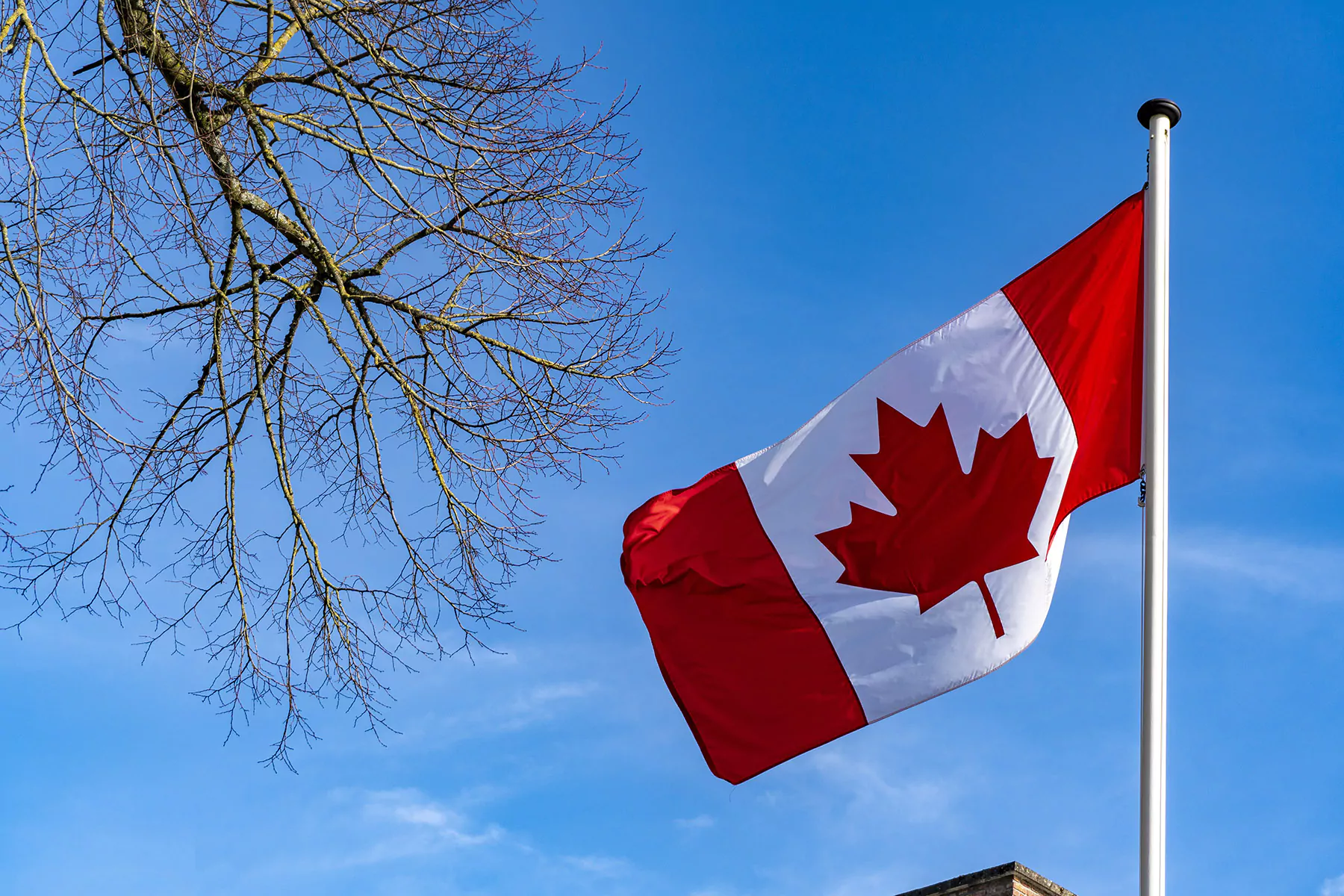 Regroupement Familial en 2025 : Le Canada dévoile les nouvelles règles !
