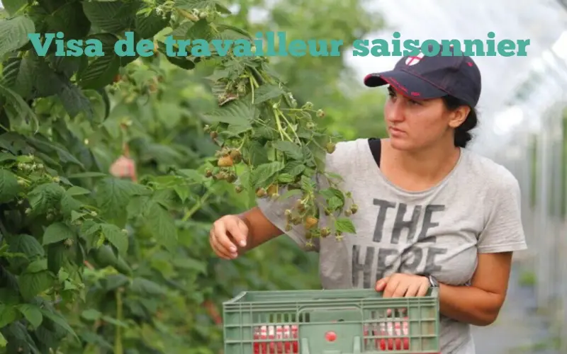 Visa de travail saisonnier 2025