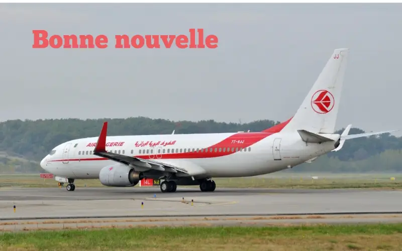 Vols Internationaux d'Air Algérie : Une remise de 30 % sur les billets au profit de cette catégorie !