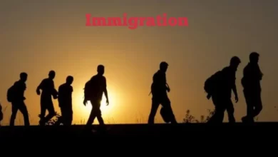 Loi d'immigration en France 2025