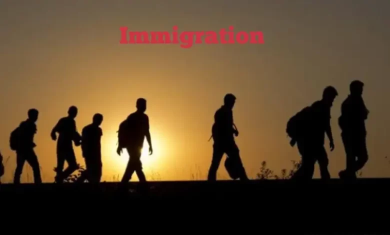 Immigration en Allemagne