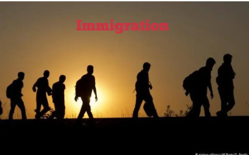 Loi d'immigration en France 2025