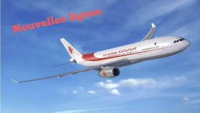 Photo de Vols d’Air Algérie vers l’international : 7 nouvelles lignes au programme en 2024