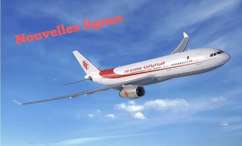 Vols d'Air Algérie 2024