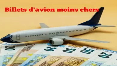Photo de Vols France vers l’Algérie : 5 compagnies proposent des billets à petit prix !