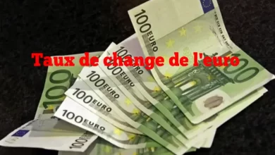 Photo de Taux de change de l’euro : Découvrez combien coûtent 100€ sur le marché noir