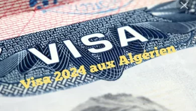 Photo de Visa 2024 aux Algérien : Un nouveau record établit !