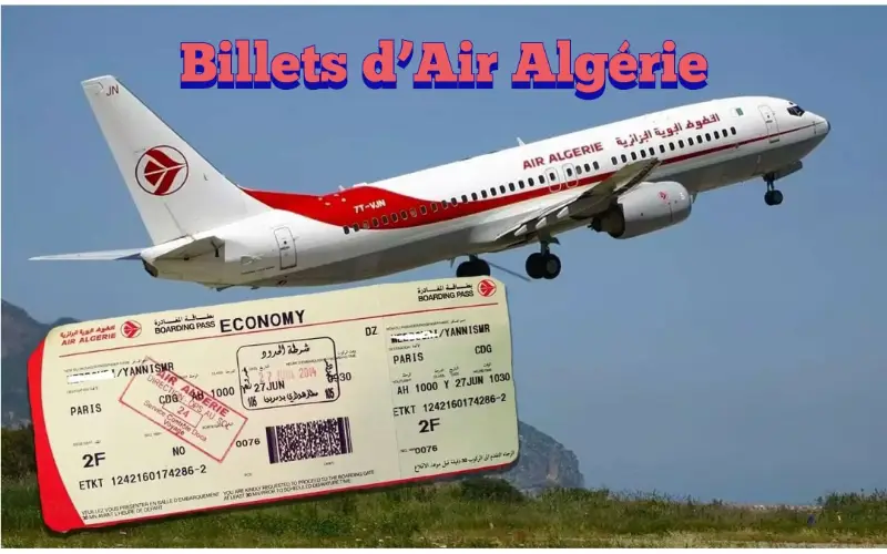 Offre spéciale Air Algérie : En vidéo, le pavillon national dévoile une nouvelle promotion vers plusieurs destinations !