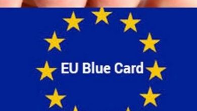 La Carte bleue Européenne 2025 : Ce pays Schengen apporte de nouvelles exigences !